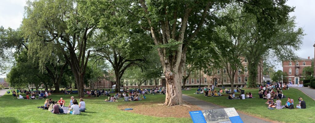 A green college green is full of groups of students in circles having conversations. 